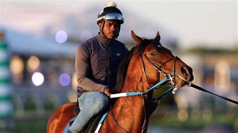 preakness 2022 live odds